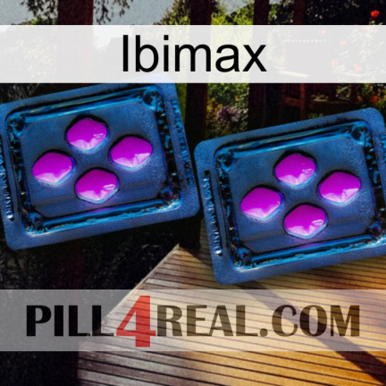 Ibimax 03